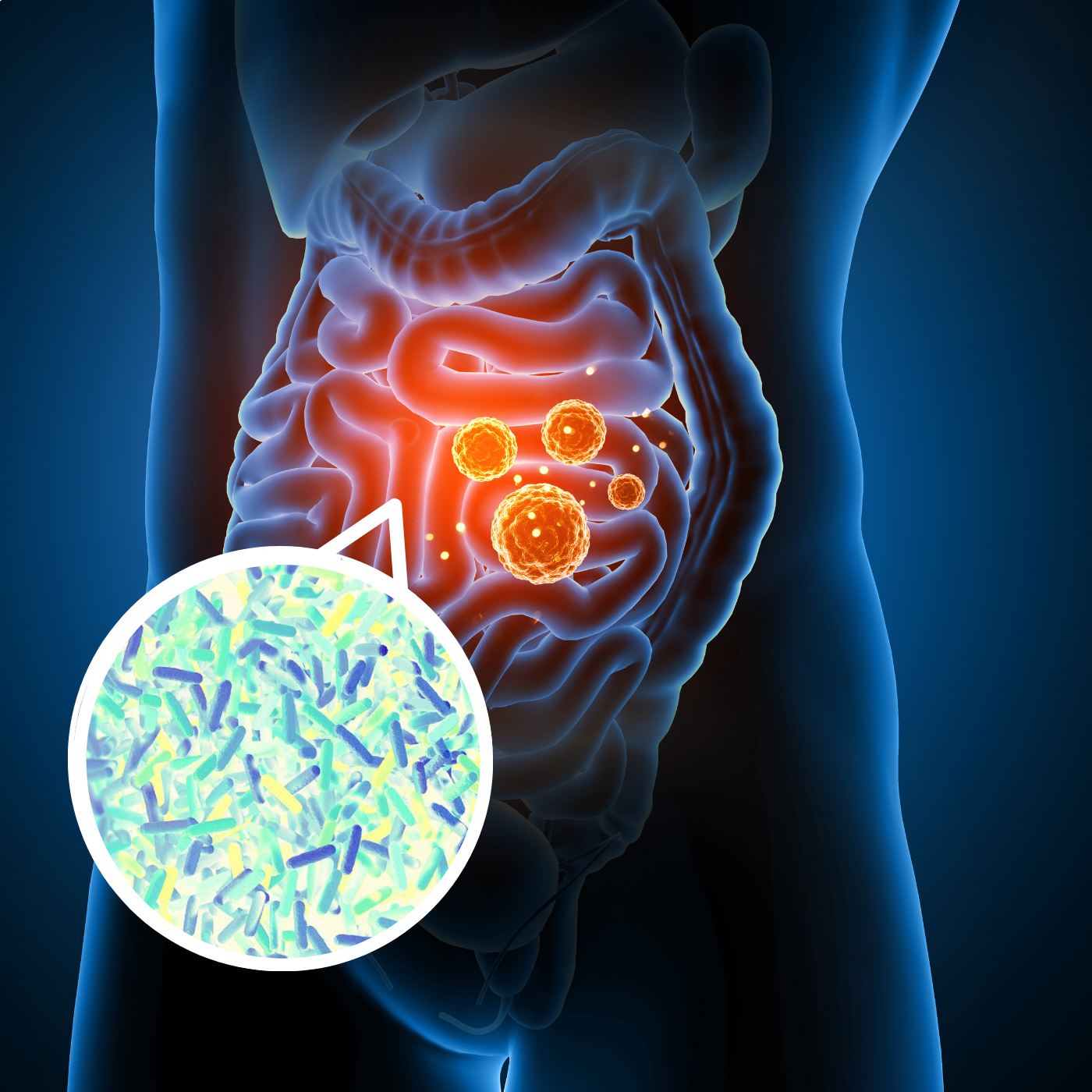 Gut health